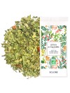 Tisane bio Detox & Equilibre pour l'équilibre acido-basique