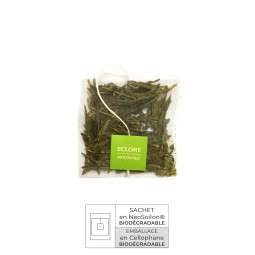 Sachet biodégradable de thé vert Bancha bio du Japon
