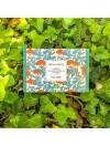 Coffret Cadeau écoresponsable / Assortiment de sachets pyramides compostables composé de 24 thés bio et infusions bio
