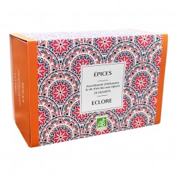 Coffret Epices : 24 sachets de thés et infusions bio aux épices