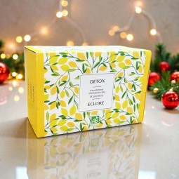 Coffret Cadeau d'infusions et thé vert bio Detox - 24 sachets pour une cure detox après les fêtes