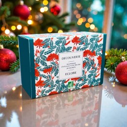 Coffret Découverte : assortiment de 24 sachets de thés et infusions bio compostables