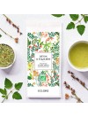 Tisane bio à l'ortie et à la prêle reminéralisantes, avec de la menthe pour la fraîcheur/