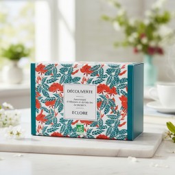 Coffret cadeau de thés et infusions bio : assortiment de 24 thés et infusions bio en sachet pour la Découverte de la gamme.