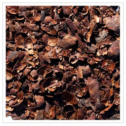 Cosses de cacao torréfiées bio et équitables de Bolivie