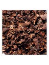 Cosses de cacao torréfiées bio et équitables de Bolivie