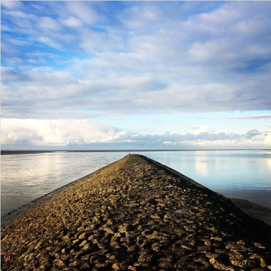 Le chemin vers l'équilibre