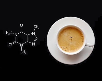 Quelle est la différence entre caféine, théine et matéine ?